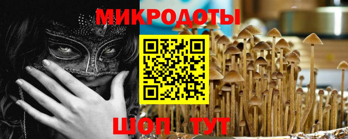 Псилоцибиновые грибы MAGIC MUSHROOMS  Вход с VPN  Всеволожск 
