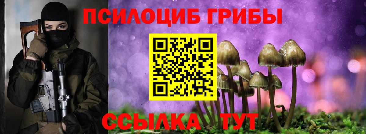 Галлюциногенные грибы прущие грибы Всеволожск